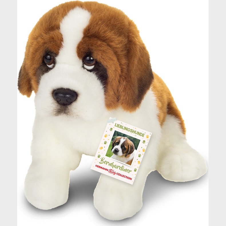 Teddy Hermann - Sankt Bernhard Hund - Siddende - 25 Cm
