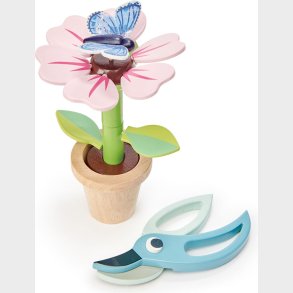 Tender Leaf - Blomst I Potte