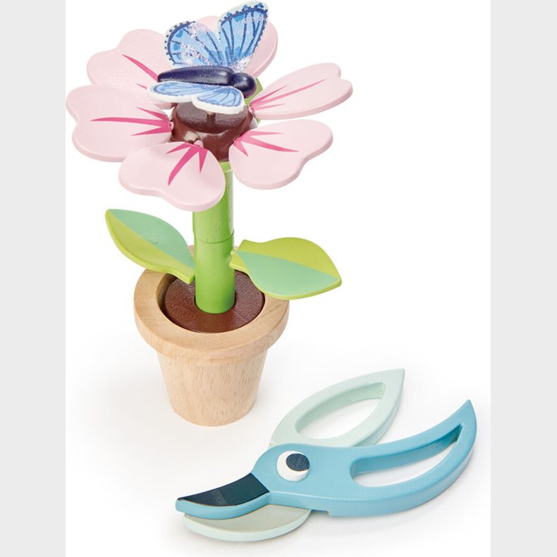 Tender Leaf - Blomst I Potte