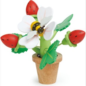 Tender Leaf - Jordbr I Potte