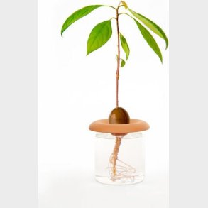 Frspire Plader I Terracotta