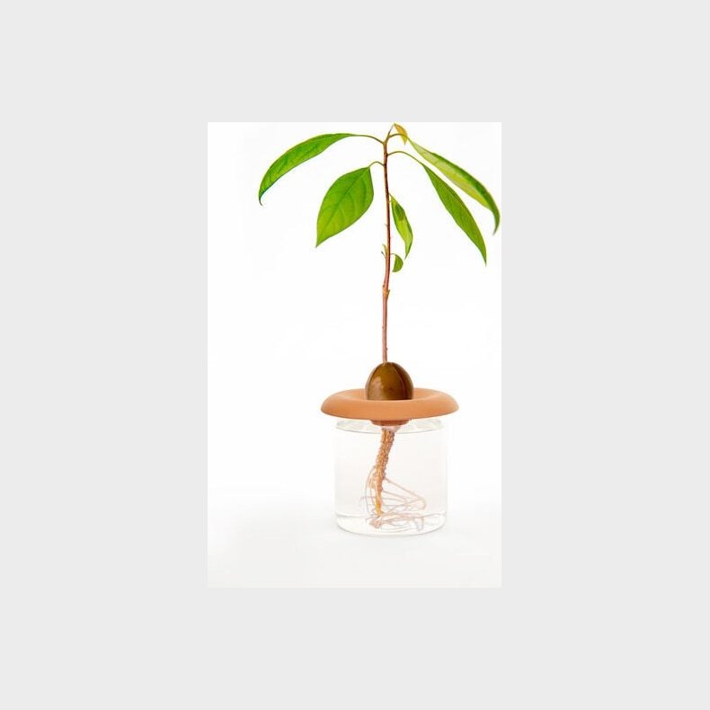 Frspire Plader I Terracotta