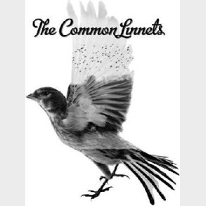 The Common Linnets - The Common Linnets - CD
