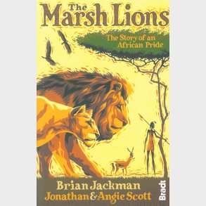 Bradt - The Marsh Lions - Jonathan Scott - English Book