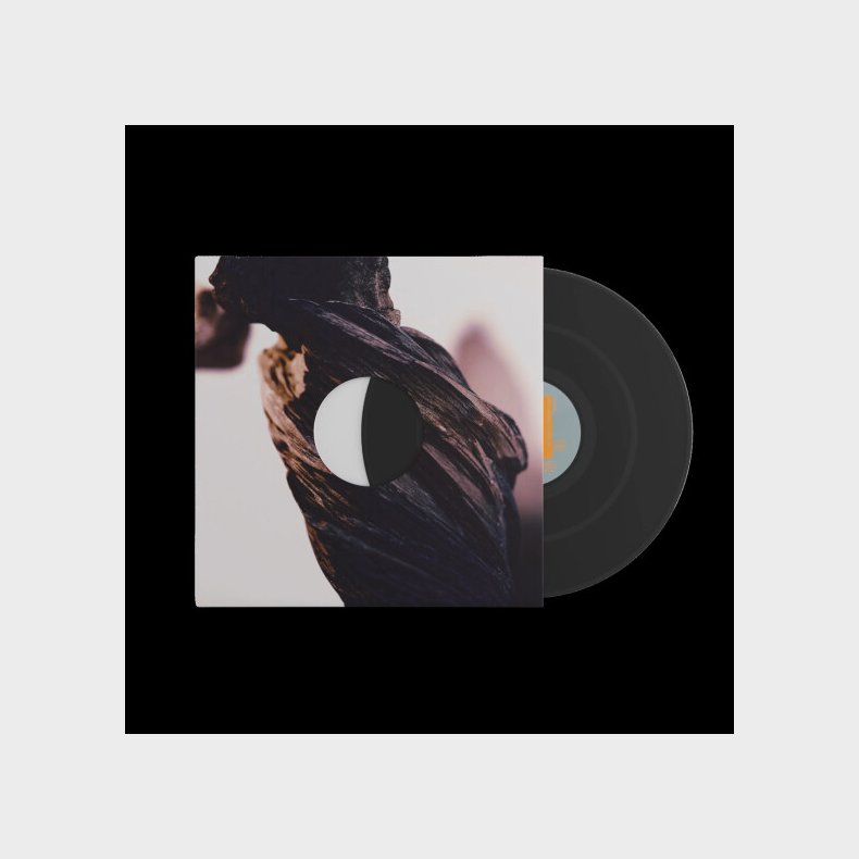 Pixies - The Night The Zombies Came - Vinyl Lp