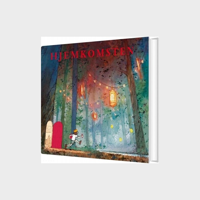 Hjemkomsten - Aaron Becker - Bog