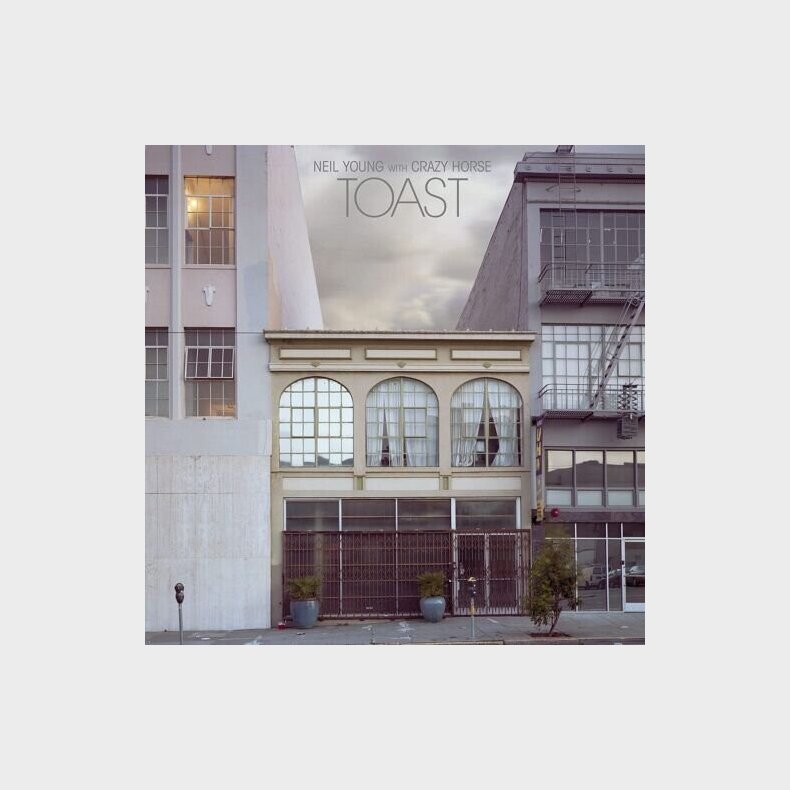 Neil Young & Crazy Horse - Toast - Vinyl Lp