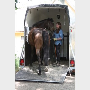 Trailertr�ning - Pia W. K. Svane - Bog