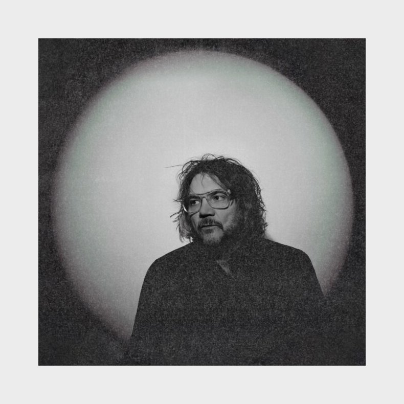 Jeff Tweedy - Twilight Override - Vinyl Lp