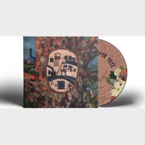 Sara Watkins - Under The Peppe - CD