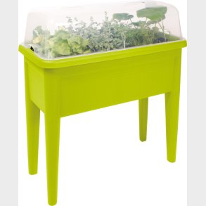 eduplay | Vksthus p ben