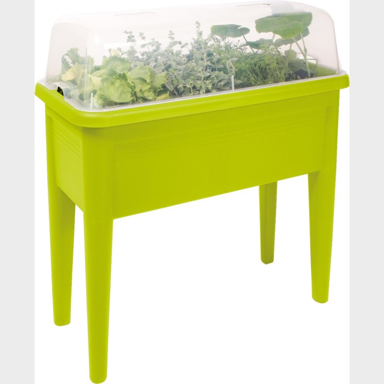 eduplay | Vksthus p ben