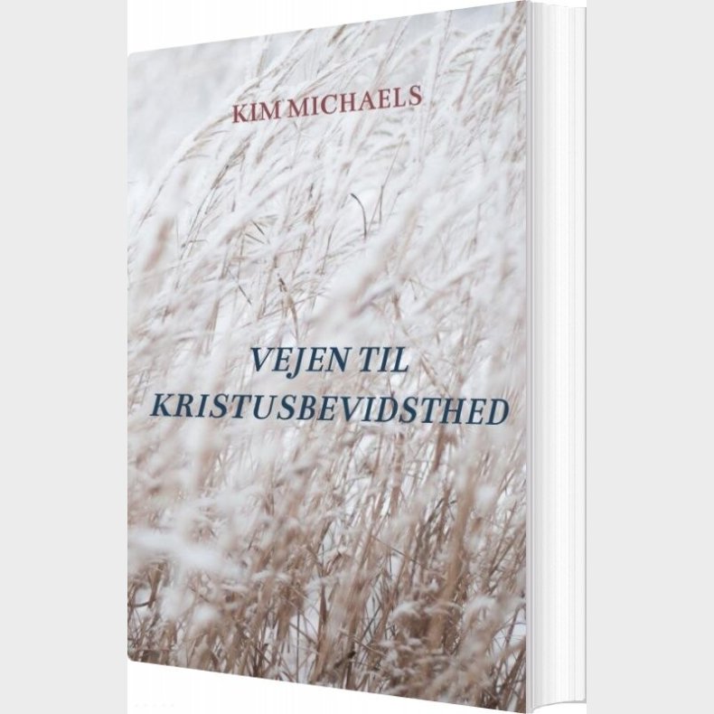 Vejen Til Kristusbevidsthed - Kim Michaels - Bog