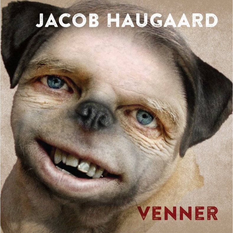 Jacob Haugaard - Venner - CD
