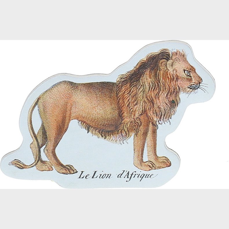 Vilac - Magneter - Dyr Fra Naturhistorisk Museum