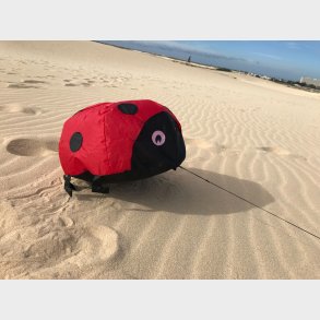 Vindmagi - Hoppende mariehne (40 x 40 cm.)