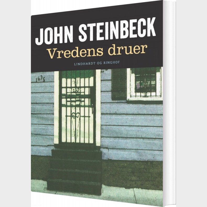 Vredens Druer - John Steinbeck - Bog