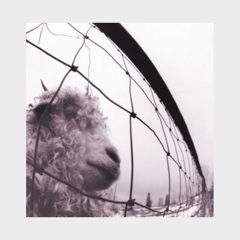 Pearl Jam - Vs. - Remastered - Vinyl Lp