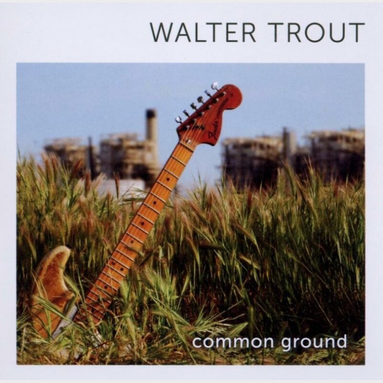 Walter Trout - Common Ground - CD