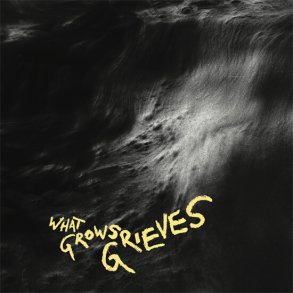 Vingborg Valencia - What Grows Grieves - Vinyl Lp