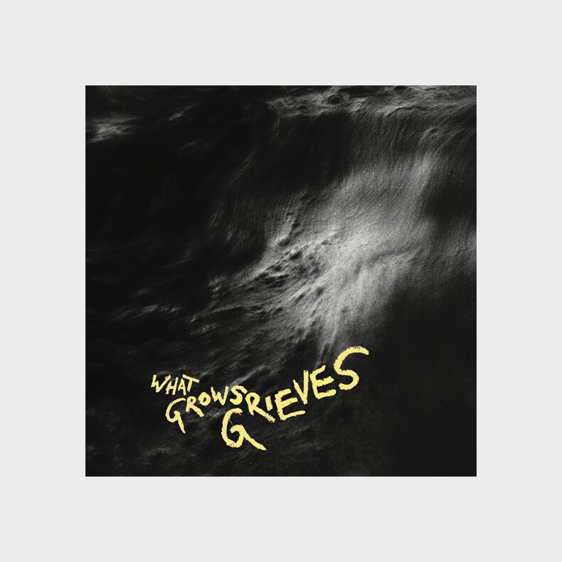 Vingborg Valencia - What Grows Grieves - Vinyl Lp