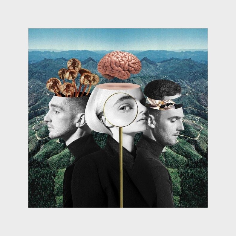 Clean Bandit - What Is Love? - CD