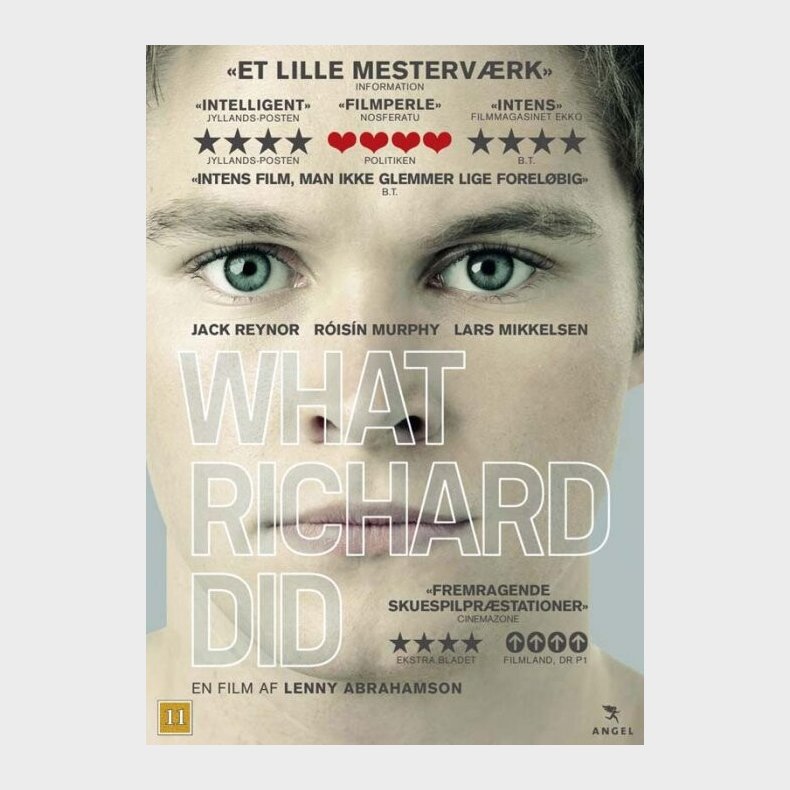 What Richard Did - DVD - Film