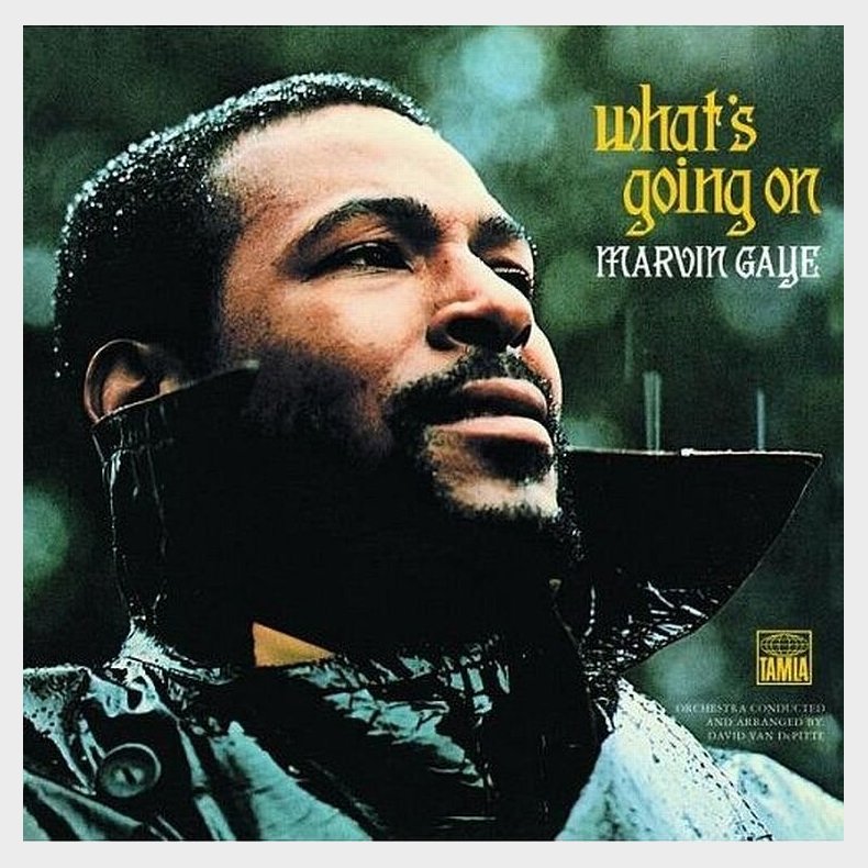 Marvin Gaye - What's Going On - Lp - Vinyl Lp
