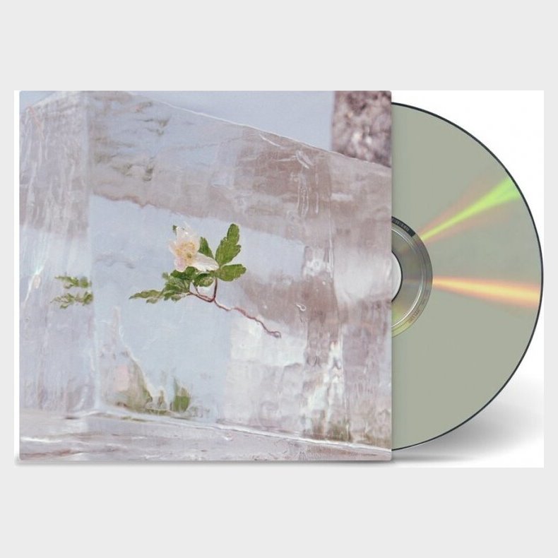 Efterklang - Wildflowers - CD