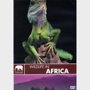 Wildlife In Africa - DVD - Film