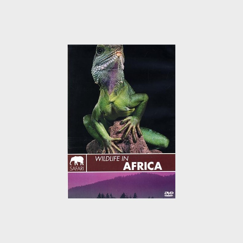 Wildlife In Africa - DVD - Film