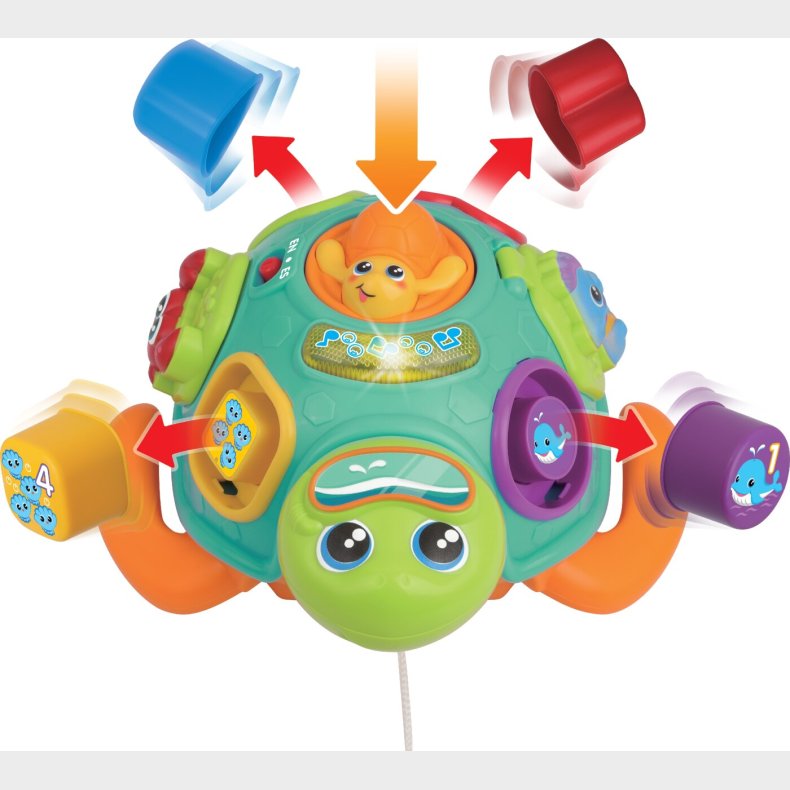 Winfun - Pull Along Sort 'n Learn Turtle