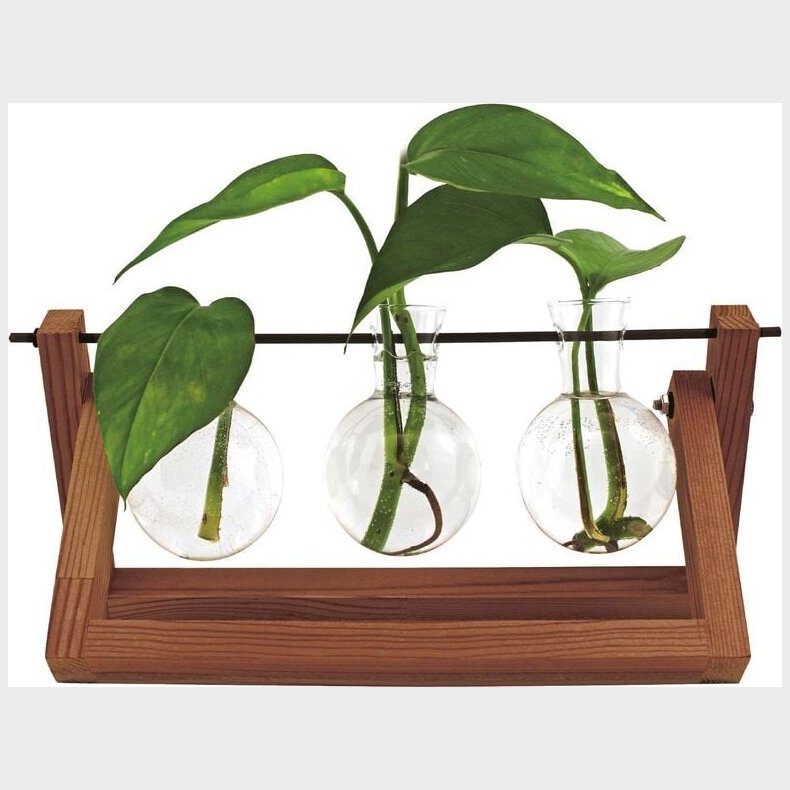 Winkee - Hydro Vases Blossom - Vase