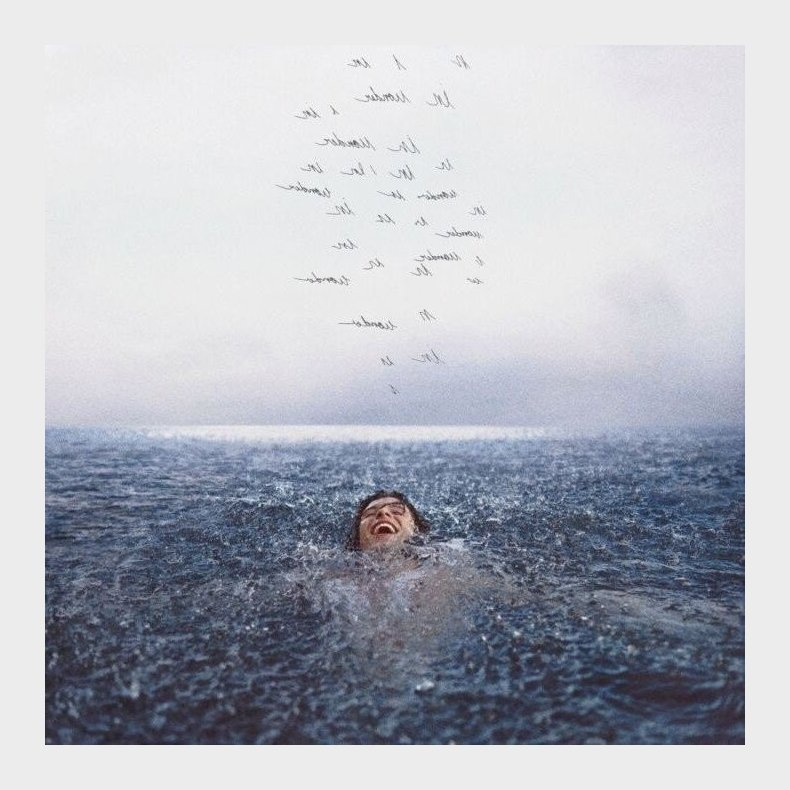 Shawn Mendes - Wonder - CD