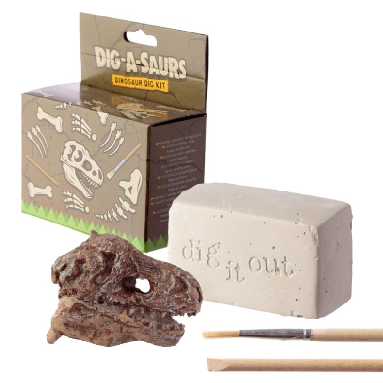 Dinosaur Skelet Hoved Dig It Out Kit - Tilfldig dinosaur