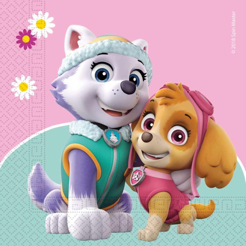 PAW PATROL SKYE &amp; EVEREST 20 stk 33x33 cm