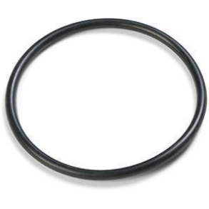 Intex o-ring 10262