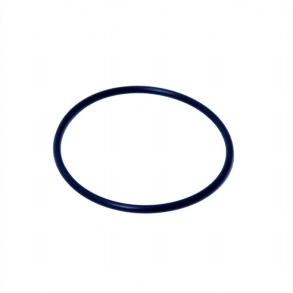 Intex Elektrode O-ring til 26676 og 2668