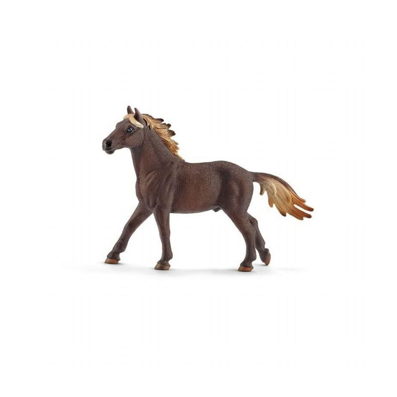 Mustang Hingst