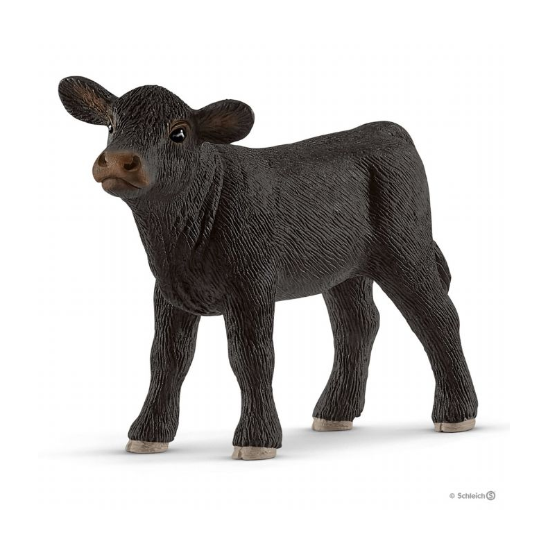 Black Angus-kalv