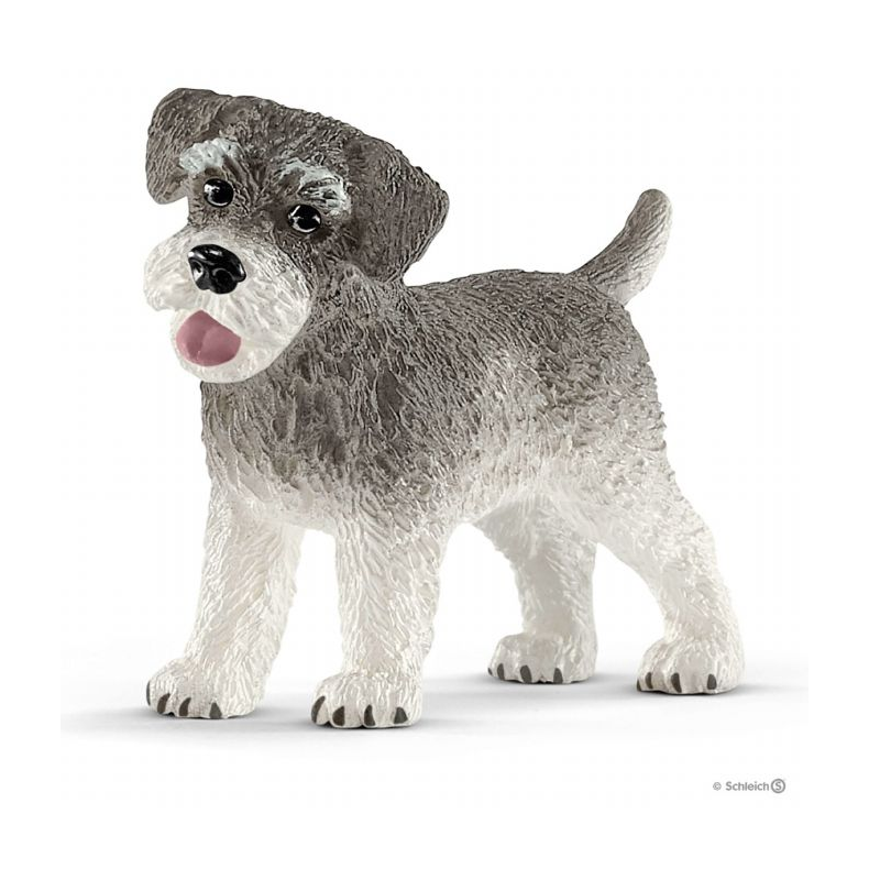 Dvrgschnauzer