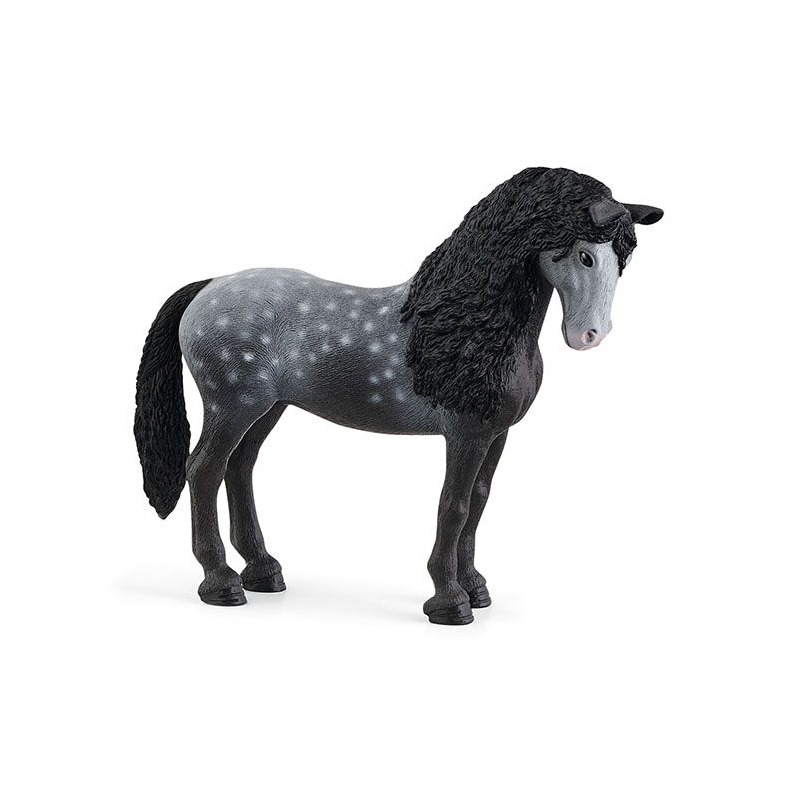 Pura Raza Espanola Hoppe