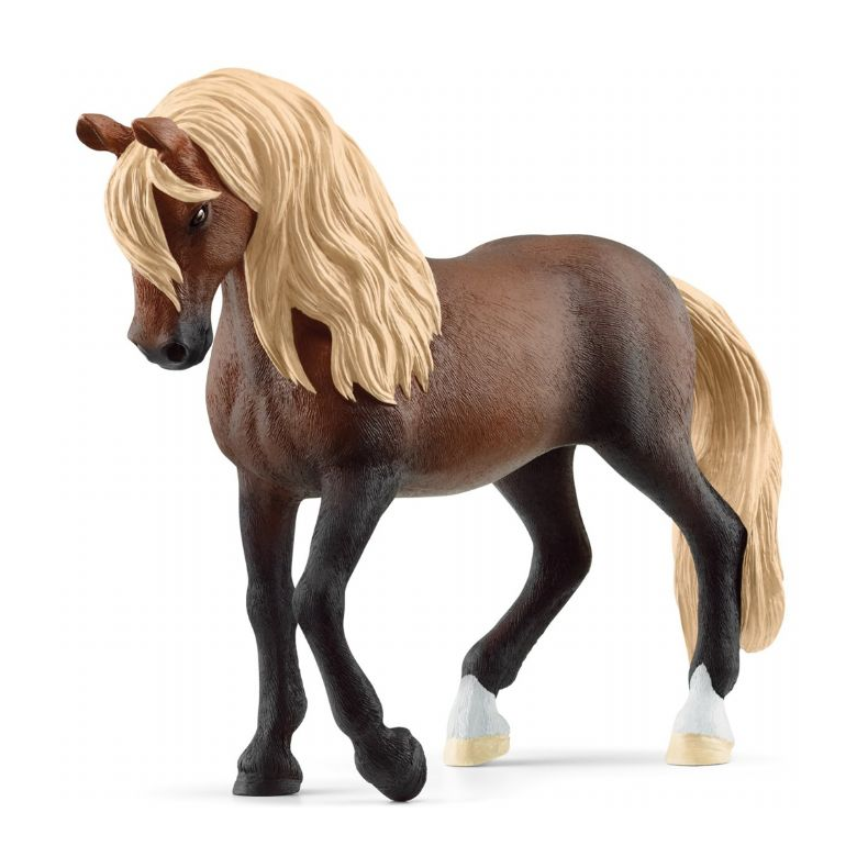 Peruanske Paso-hingst