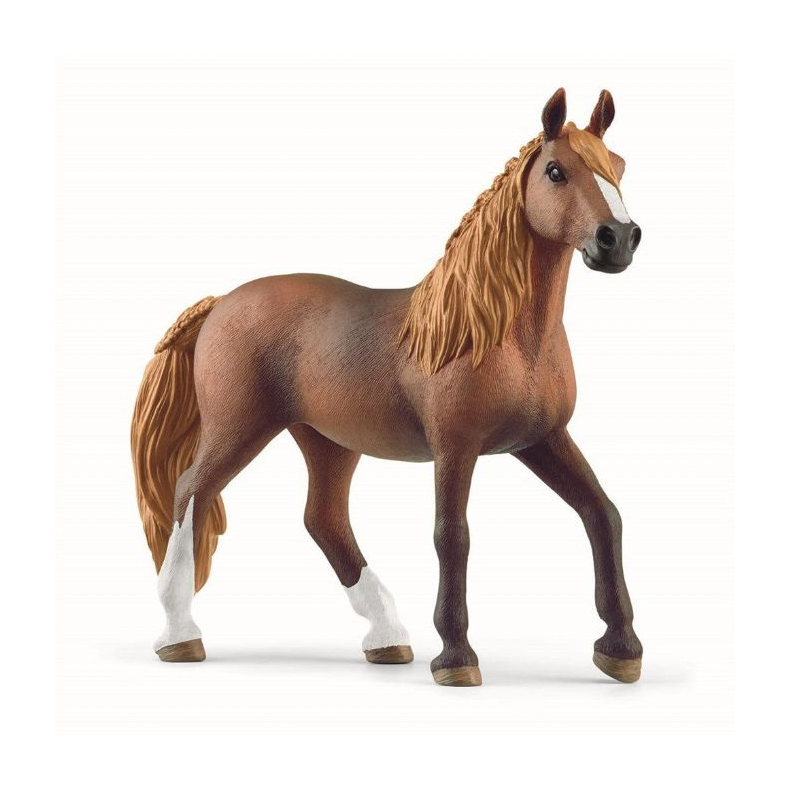 Peruanske Paso-hoppe