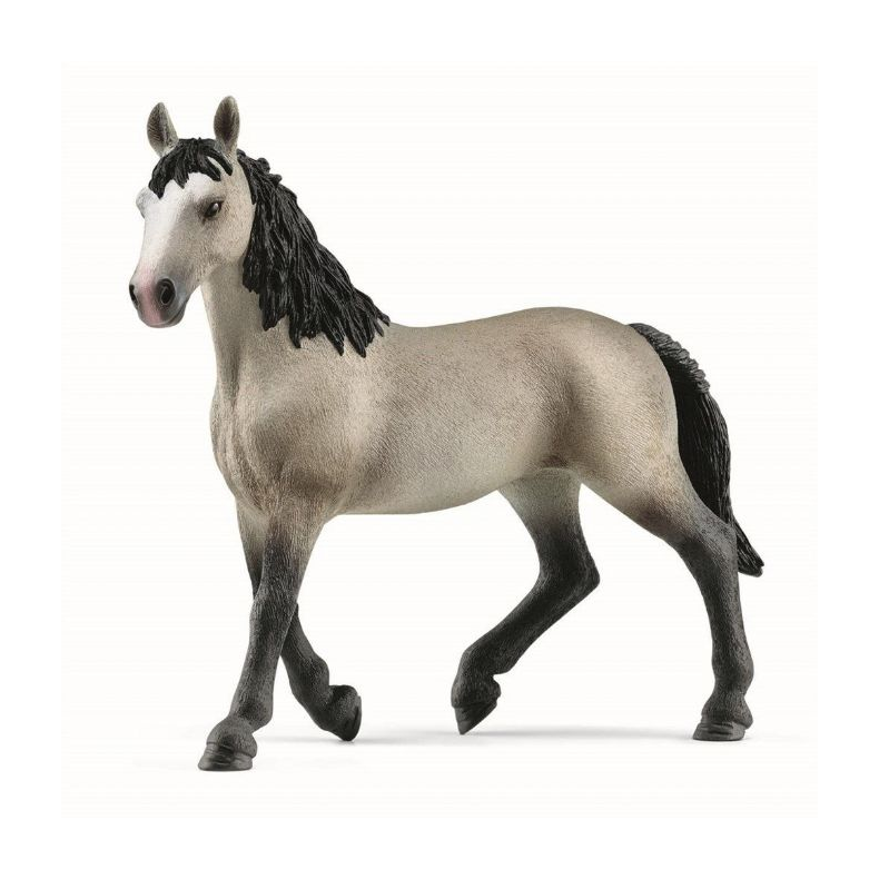 Selle Français-hoppen