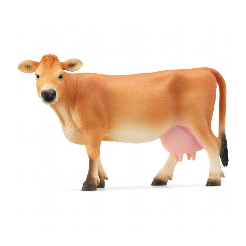 Jersey ko