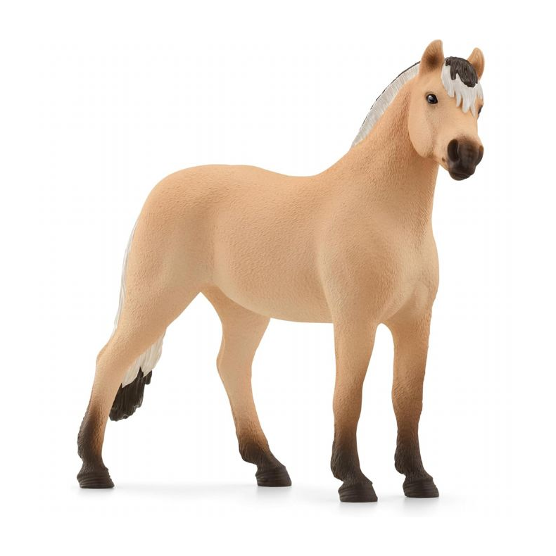 Norske fjordhestevallak