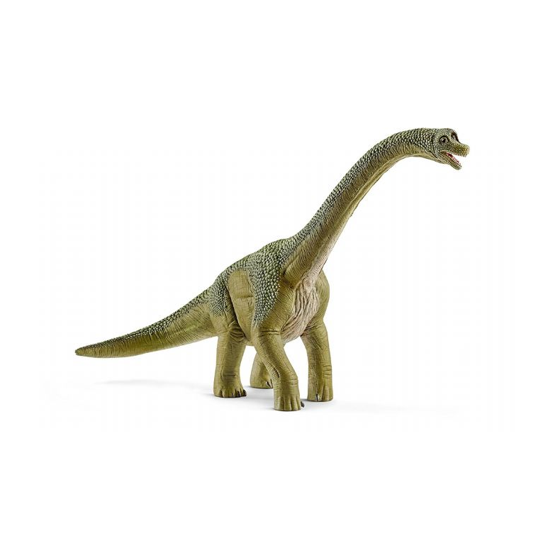 Brachiosaurus