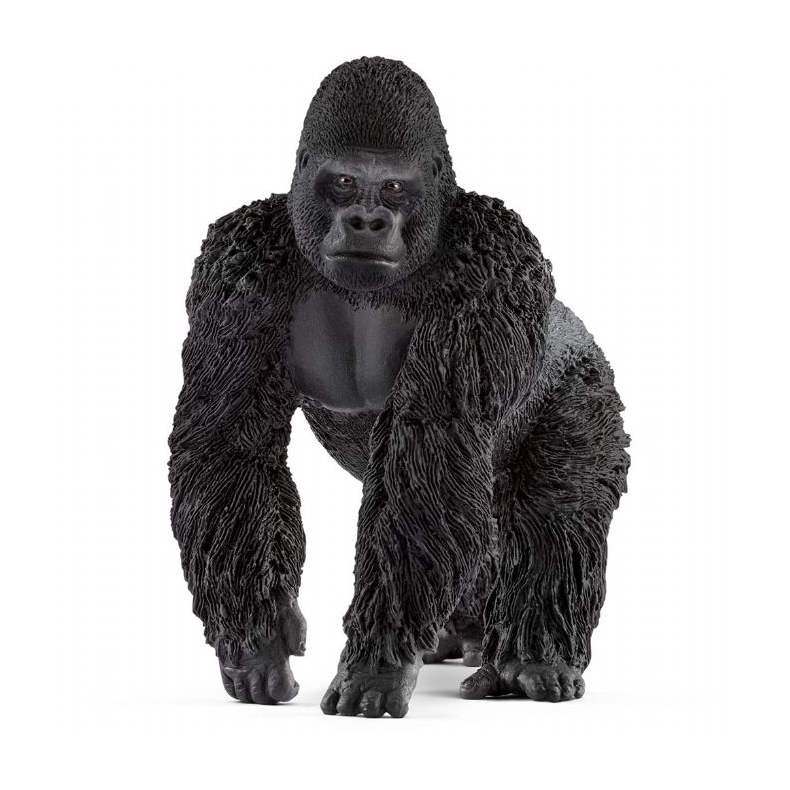 Gorilla-han