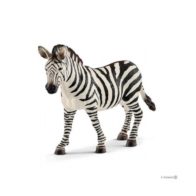 Zebrahoppe